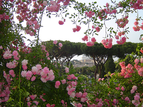 ����������� ������� Roseto Comunale